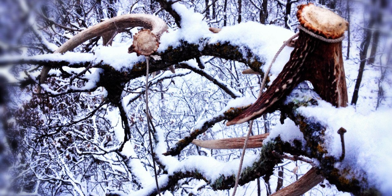 bow_hunter_19's profile banner image