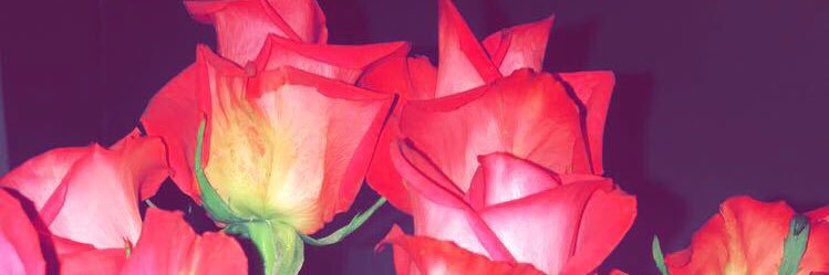 Jocc banner