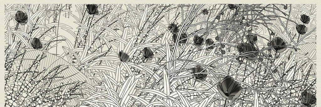 MARQ528 (🐥,🪱,🌿) banner