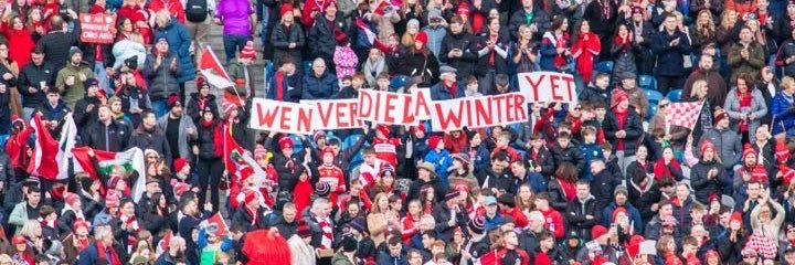 Daragh Fitzgerald banner