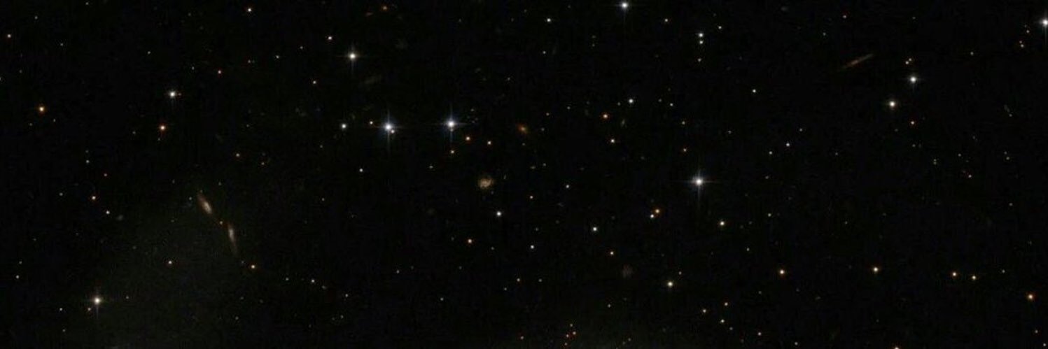 nofan990's profile banner image