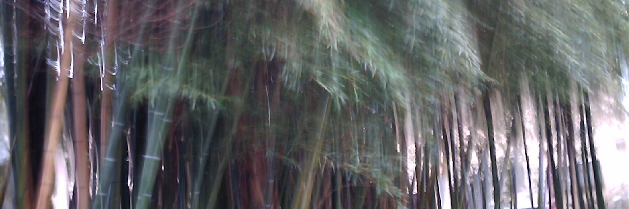zubolla's profile banner image