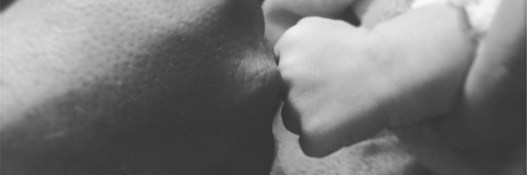calatagle's profile banner image