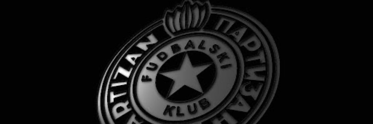 Prof. dr Vladimir Vuletić banner