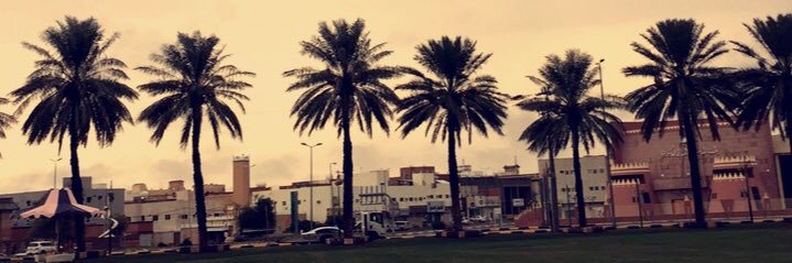 ali_m_23's profile banner image