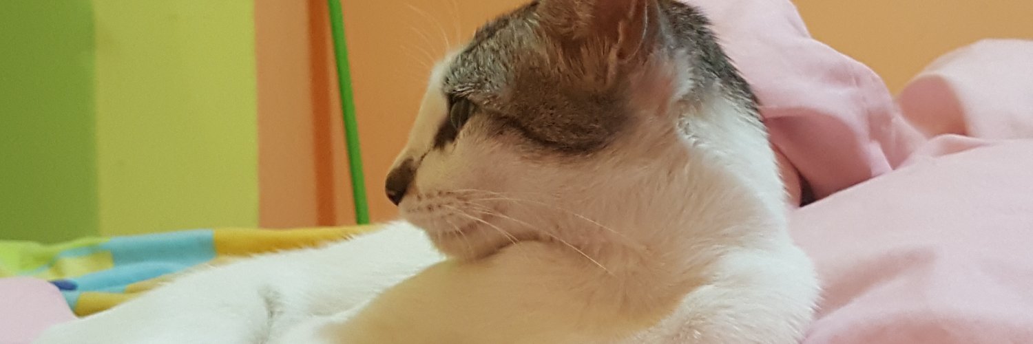 melxhidalgo's profile banner image