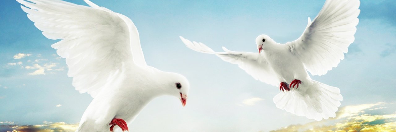 WeisRobstli103's profile banner image