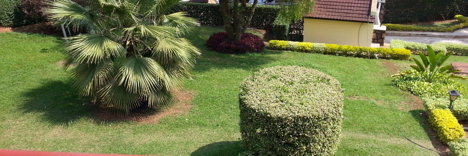 DanielMwanzau's profile banner image