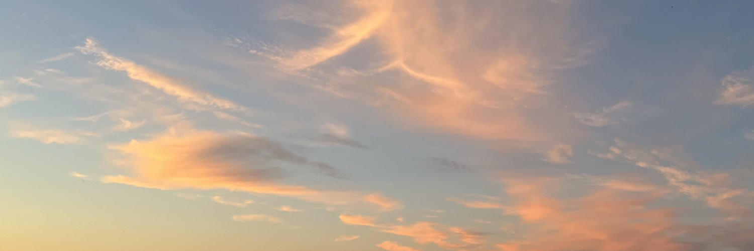 polzafox_'s profile banner image