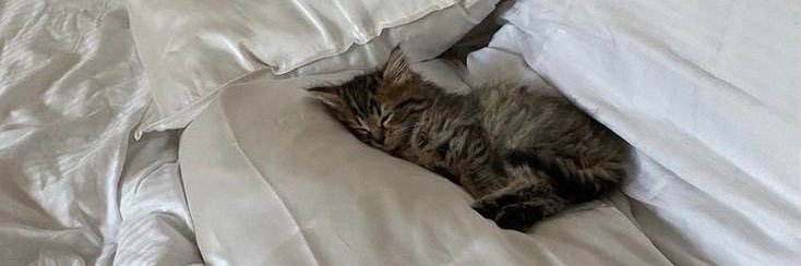 𝒍𝒖𝒍𝒖 𐙚 banner