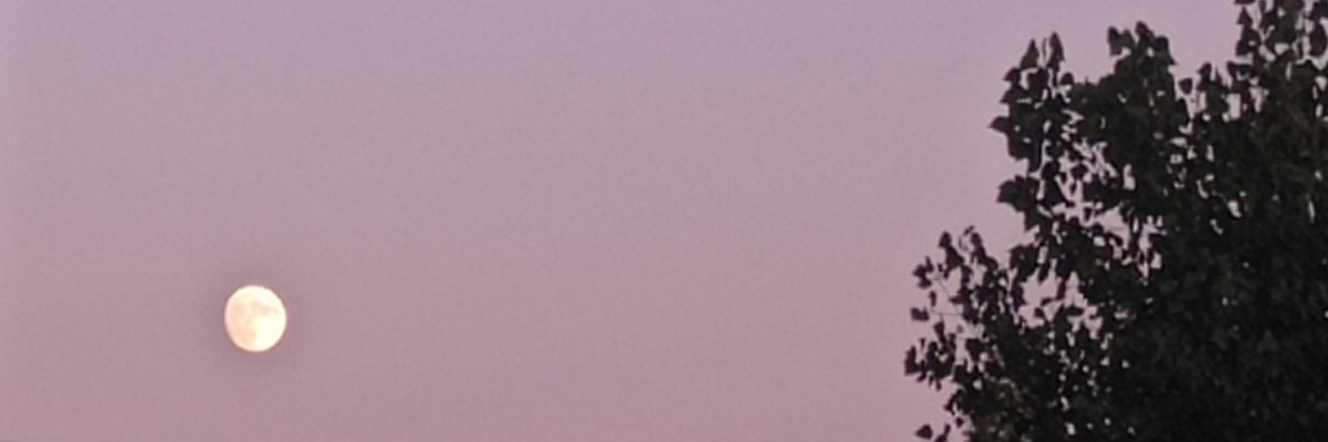 blueflatline's profile banner image