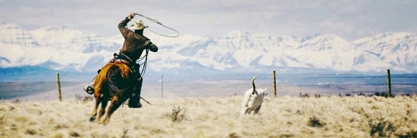 MontanaImages's profile banner image