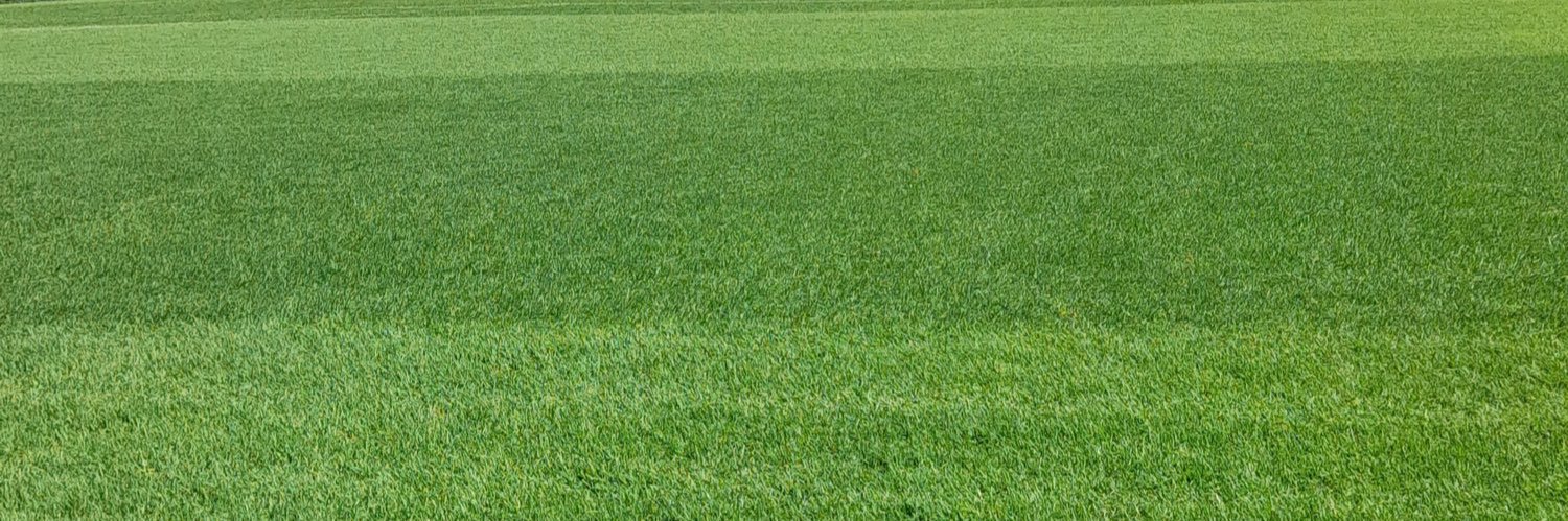 espiviappiani's profile banner image