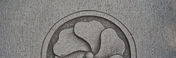 theavalkyrie Profile Banner