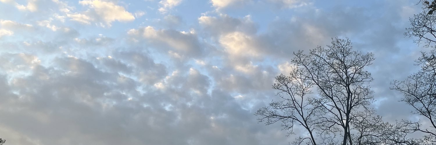 AngelMariex31x's profile banner image