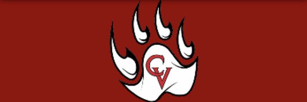 CastleViewBall Profile Banner