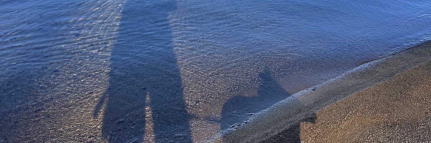 ❇️❇️❇️CRYPTO_Tweety❇️❇️❇️ banner