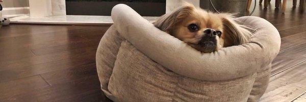 HillaryUKPR Profile Banner