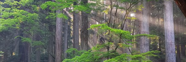 Wg9AOBfa64ugKpb Profile Banner