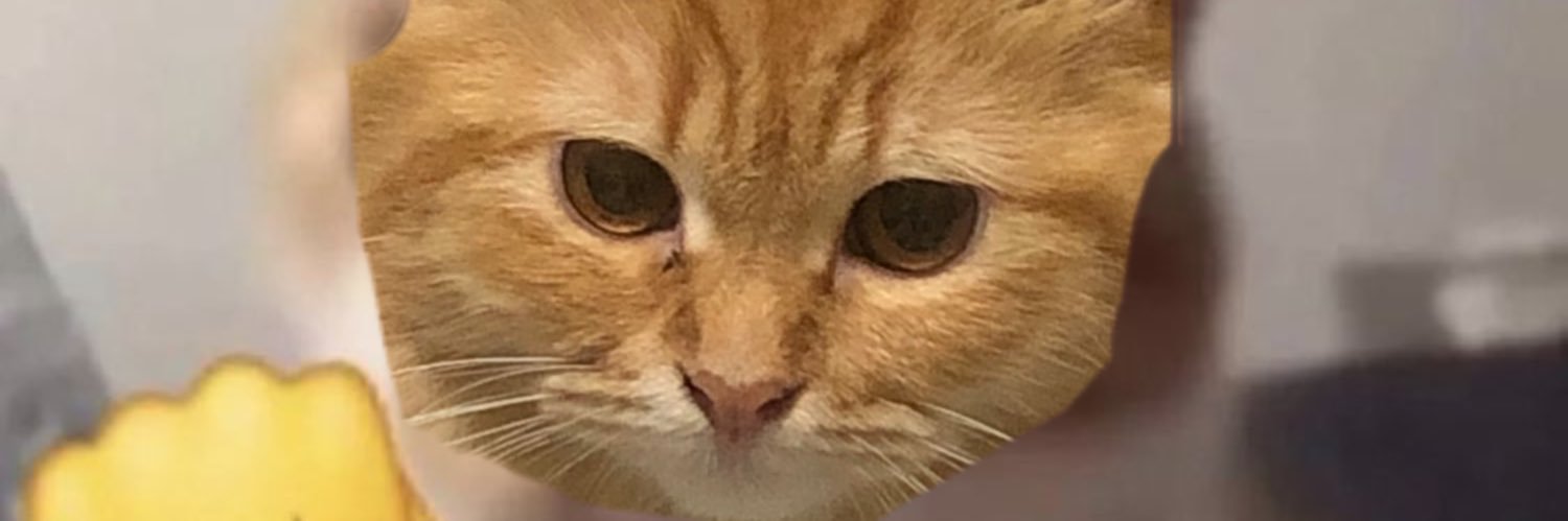 kodisantoss's profile banner image