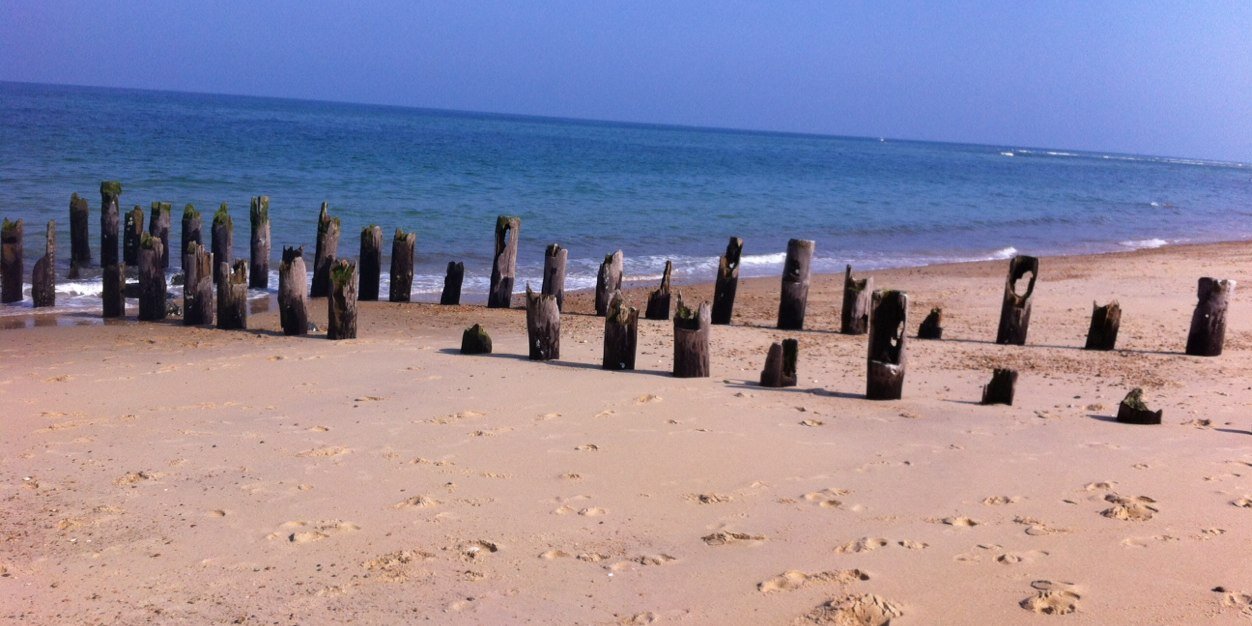 Begoña Tortajada banner