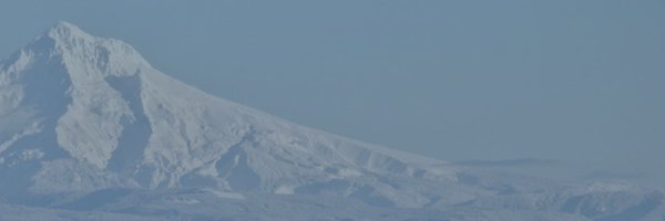 codeforsociety Profile Banner