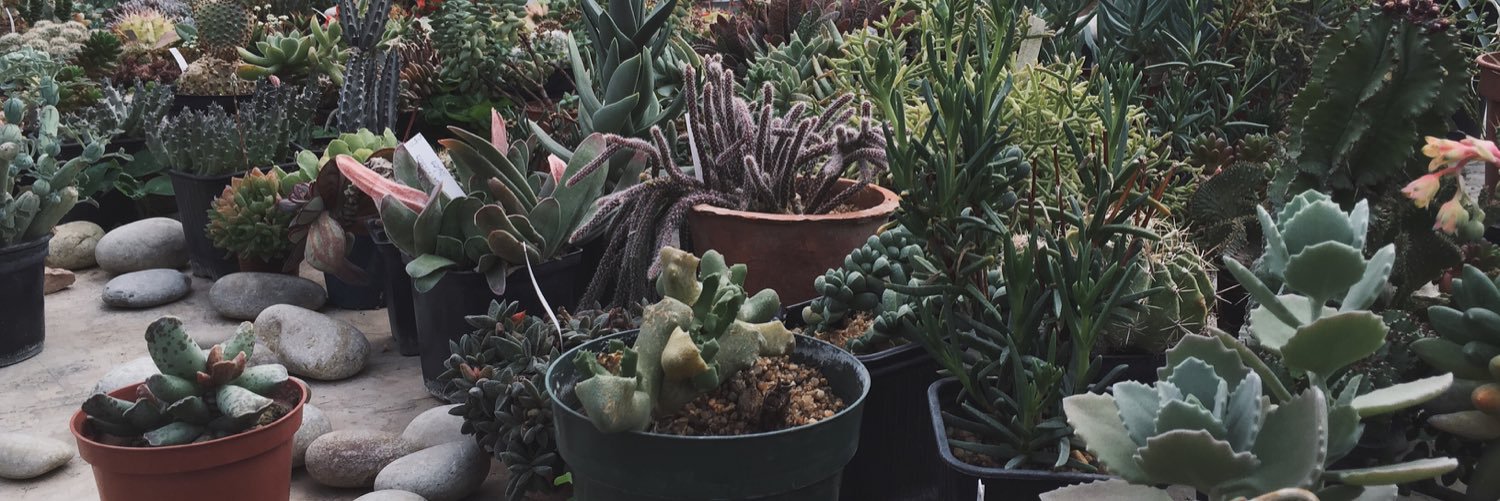 трупесса banner