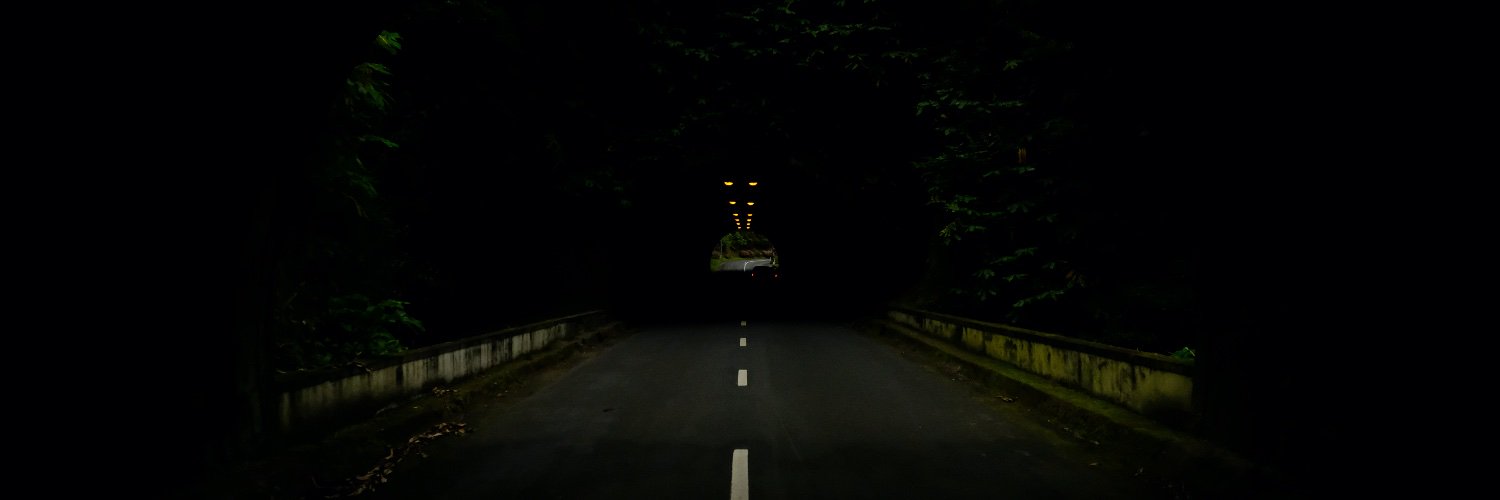 David Rodrigues banner