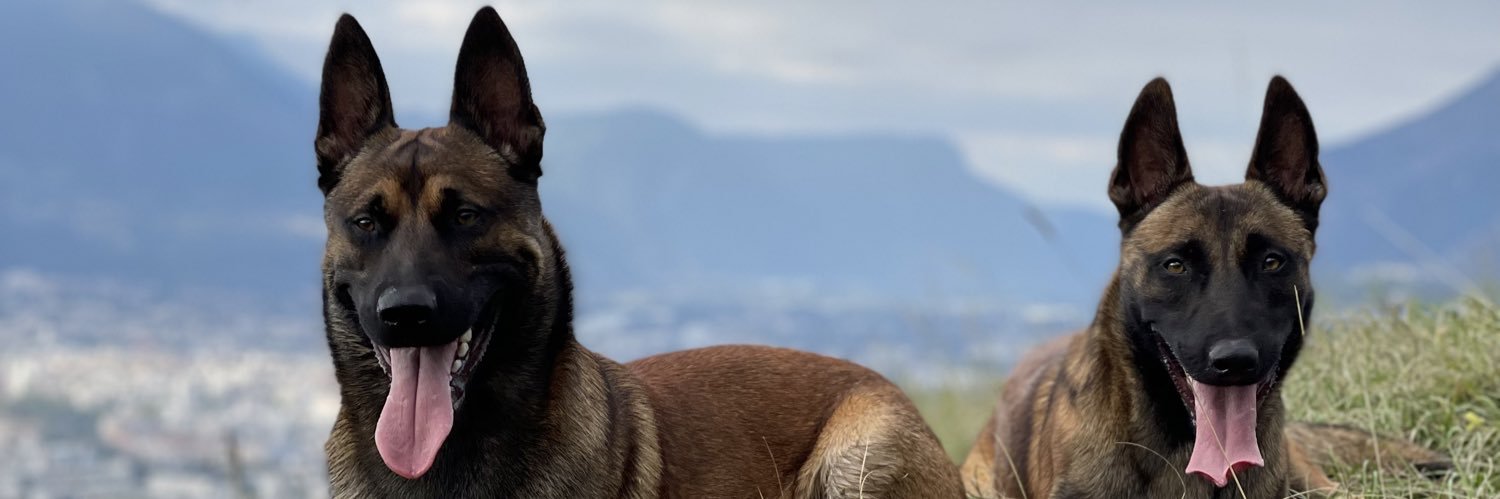Alex_ZaYS's profile banner image