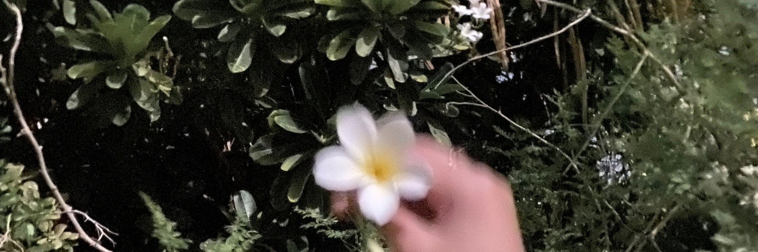 TAA 🤍 banner