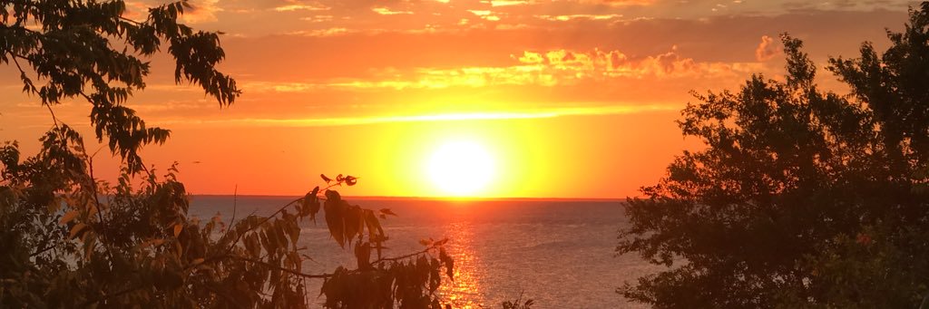 mariahltovar's profile banner image
