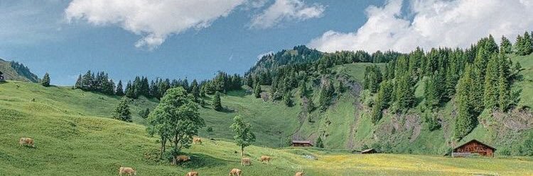 𝗆𝗂𝗇𝖾𝖿𝖺𝗏 banner