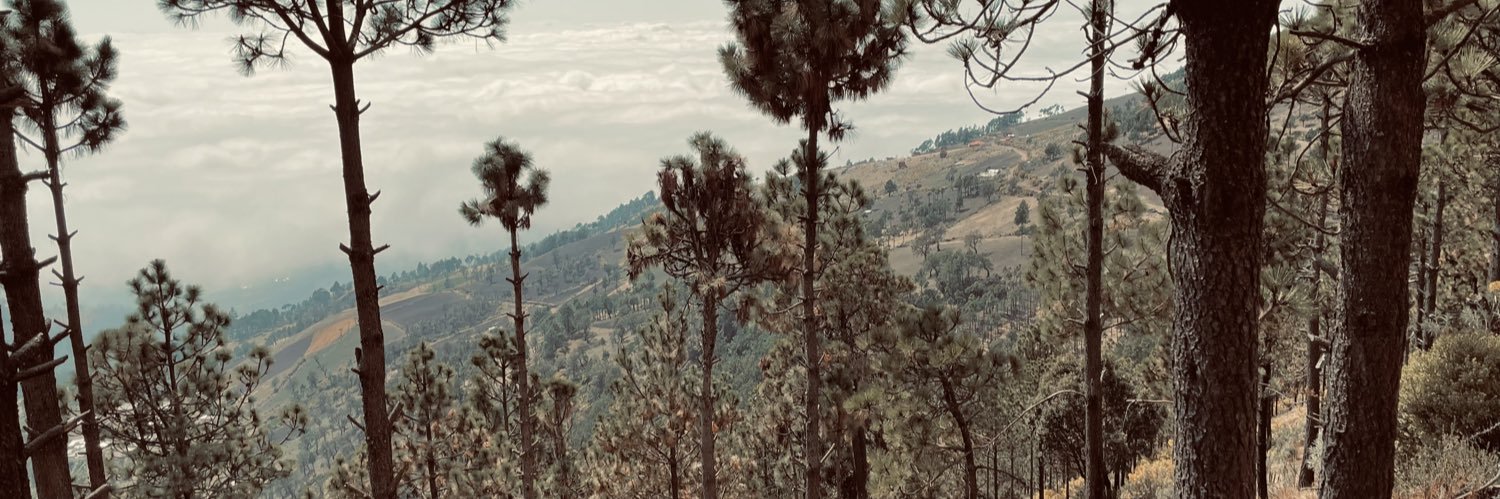 VIKOMOL's profile banner image