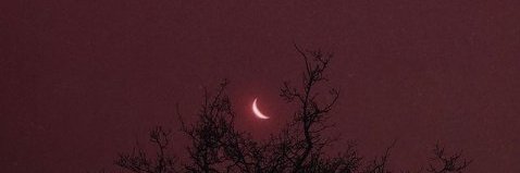 zsgw707's profile banner image