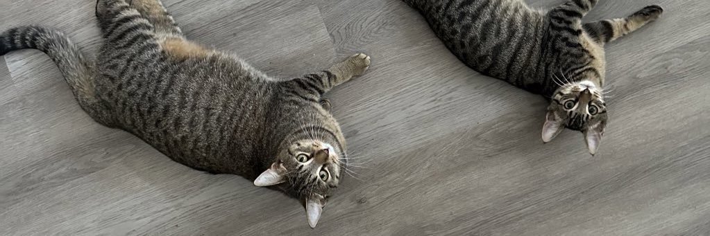 himah (lil heems) banner