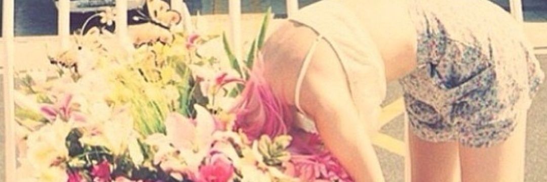 hatchimy's profile banner image