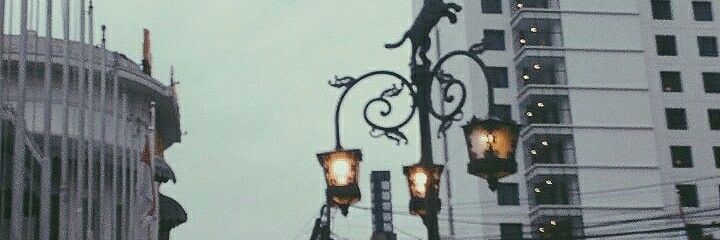 can_sevim1's profile banner image