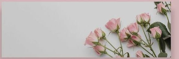 SkZEverywhe's profile banner image