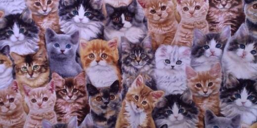 Alealealejandra banner