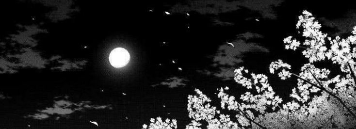 Chosen0ne9's profile banner image