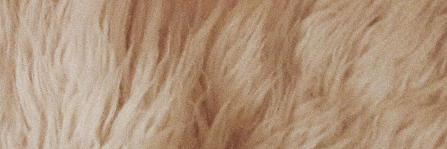 GoddessOfGreec's profile banner image