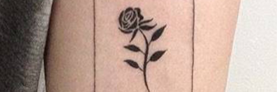 campos_edd's profile banner image