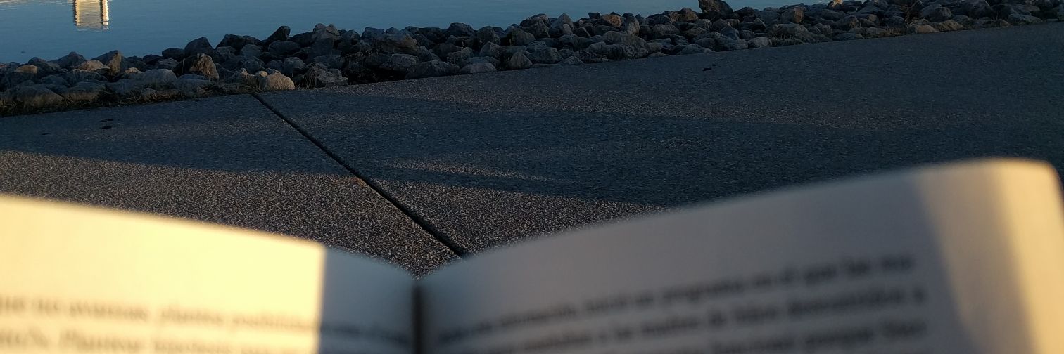 pilarcervigon's profile banner image