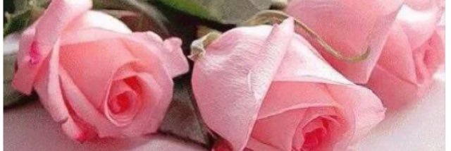 K_mz06's profile banner image