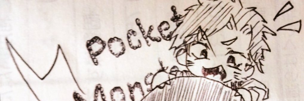 pokezin5's profile banner image