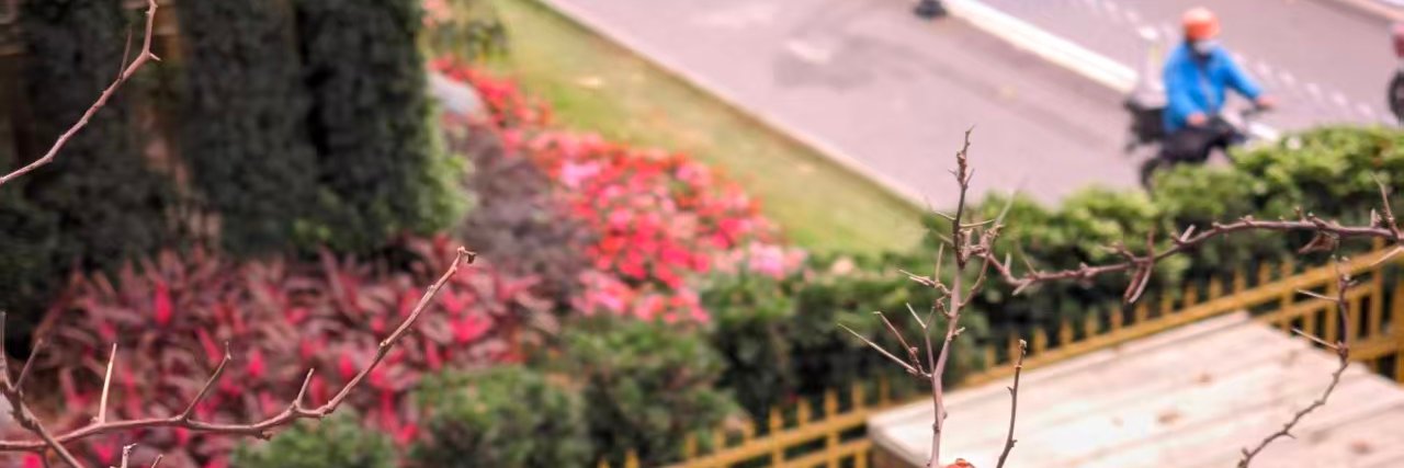 lushangkan's profile banner image