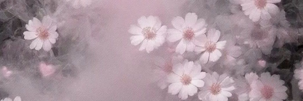jj2__kg's profile banner image