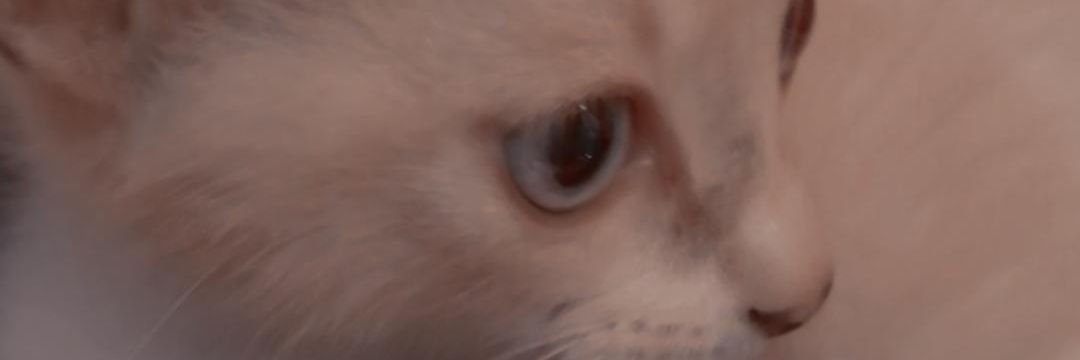Ale_Ghost18's profile banner image
