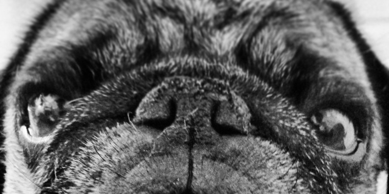 ASCEreneNCIO's profile banner image