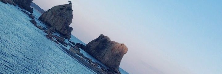 kussikusimoto's profile banner image